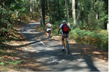 Vélos sur la piste cyclable OT Vielle-St-Girons